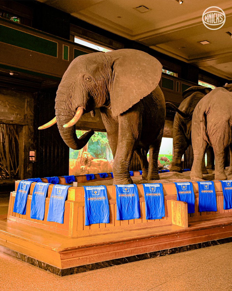 NEW YORK KNICKS tweet media