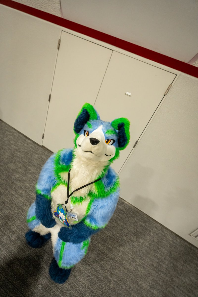 シェール/Sher M. S. tweet media