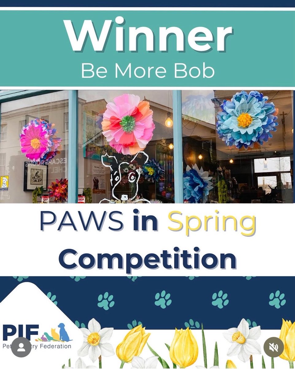 BeMoreBob tweet media