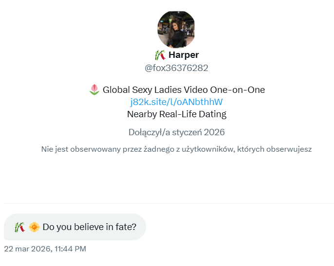 the last showgirl⸆⸉ tweet media