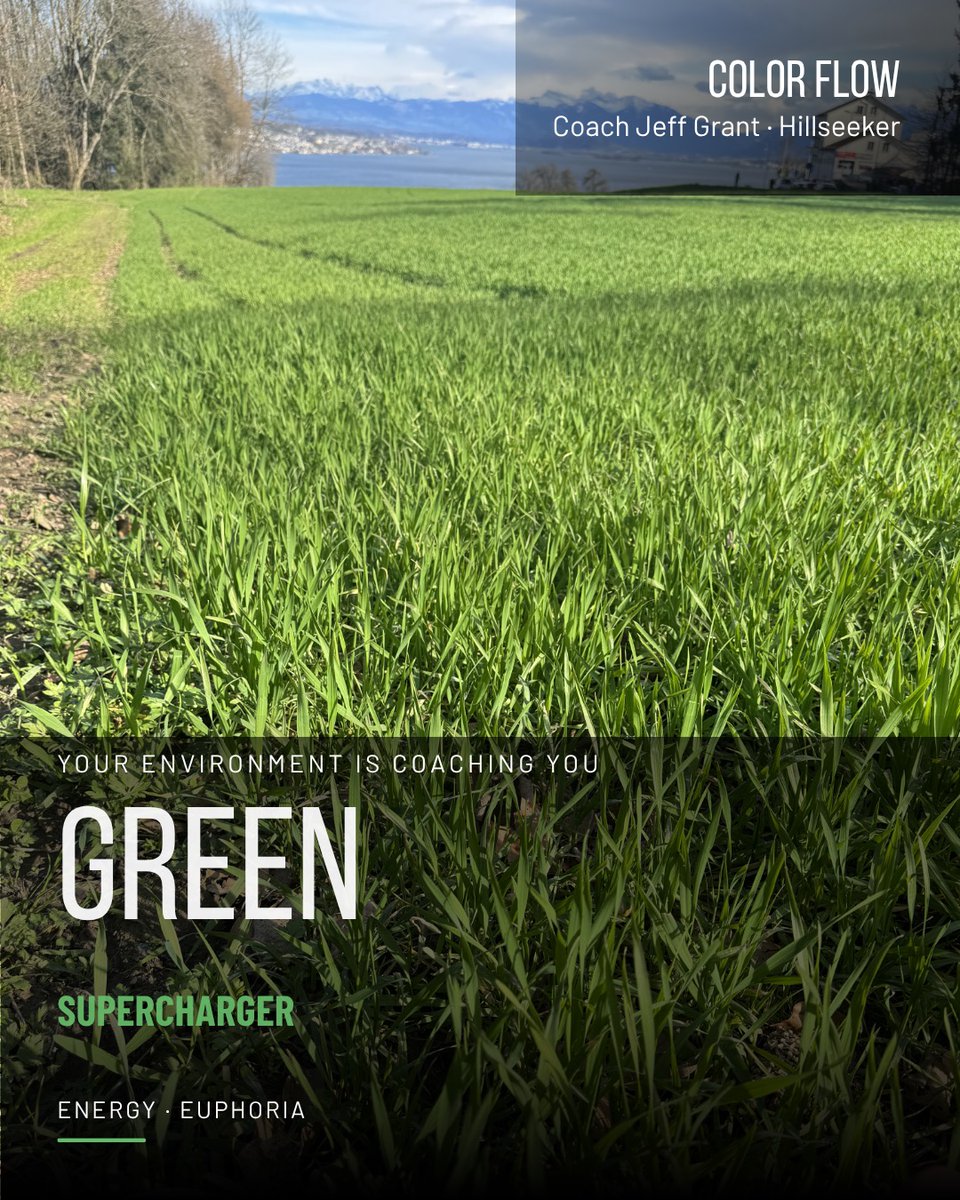 A field I used to run past every week for years.

Never once thought it was coaching me.

hillseeker.com/green