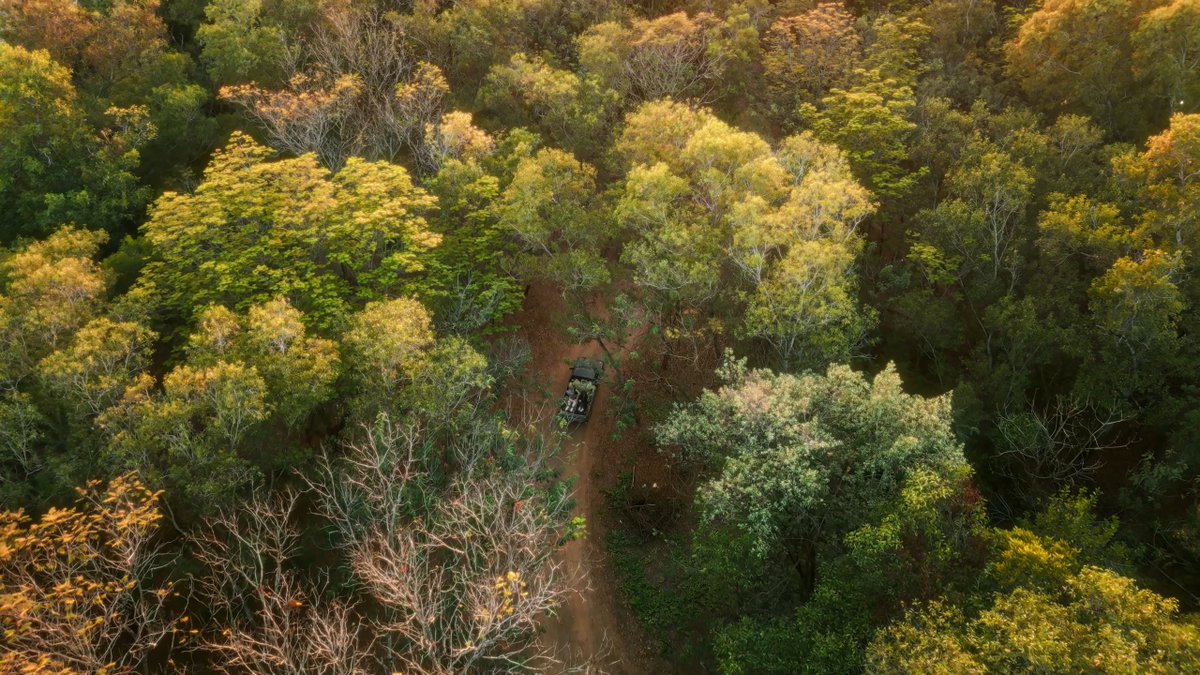 Oda 🇪🇨✨ tweet media