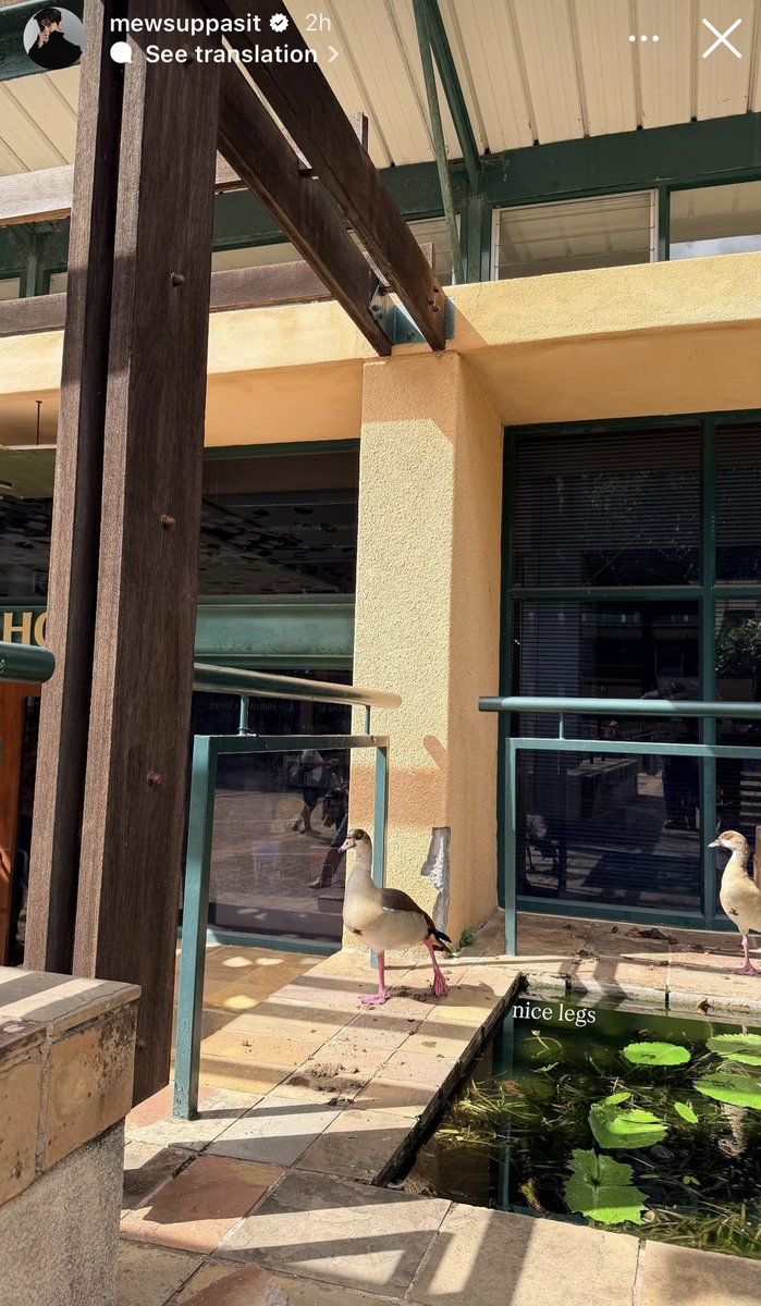 🎄Jingle All The Way 🍀 tweet media