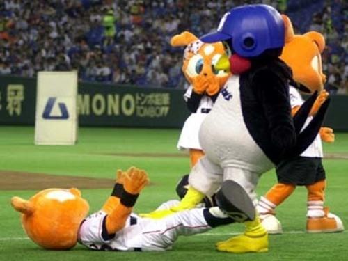 トニックマ tweet media