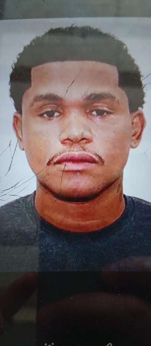 MiliciaNeews2 tweet media