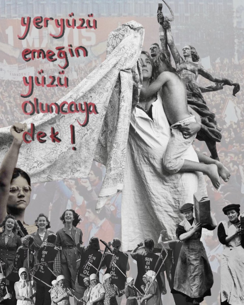 femme quixote🔻 tweet media