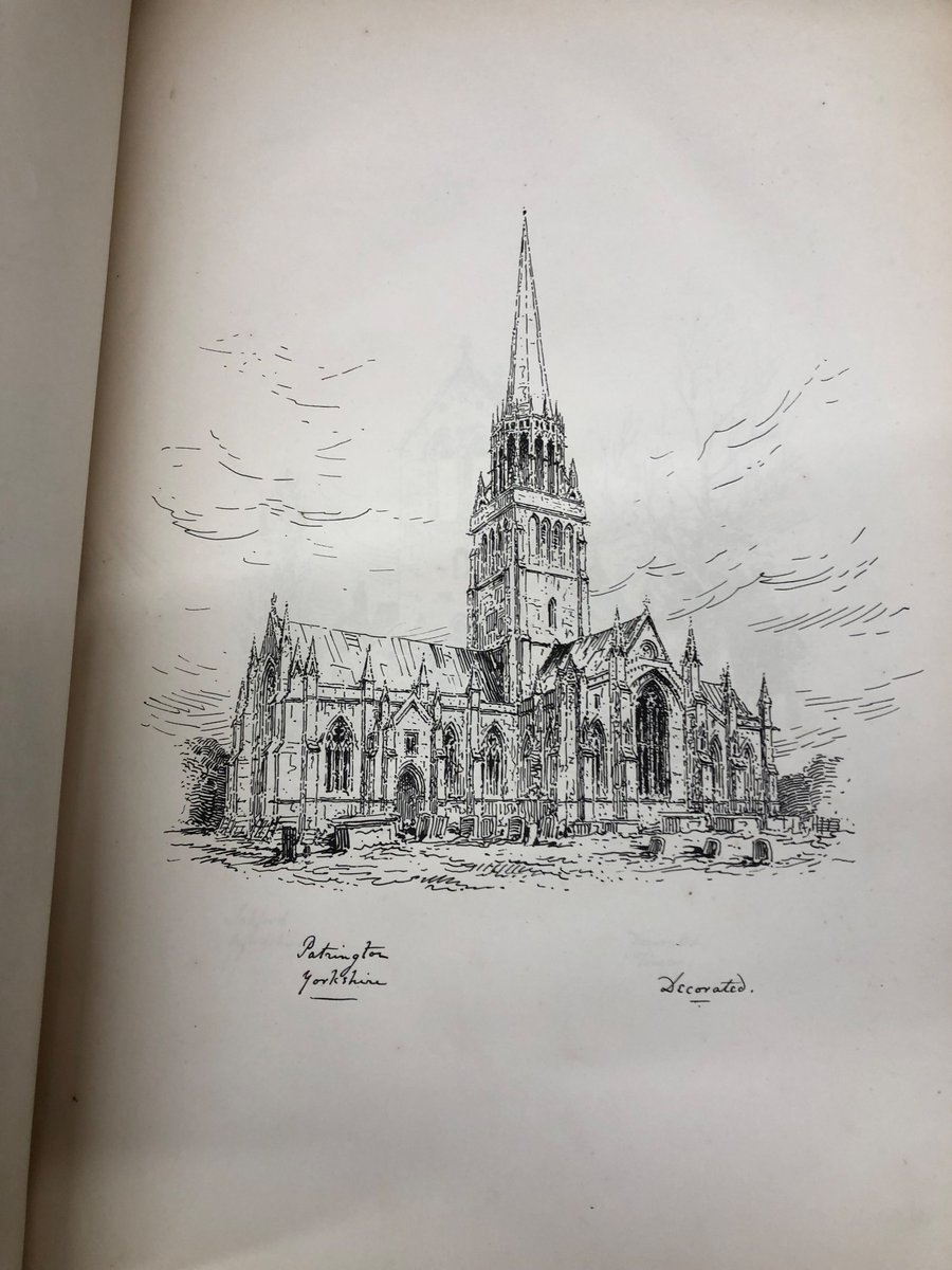 52 coastal birds tweet media