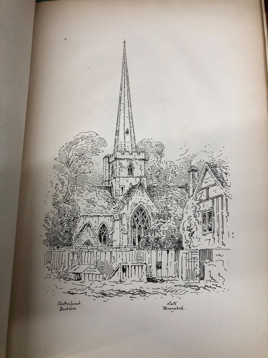 52 coastal birds tweet media