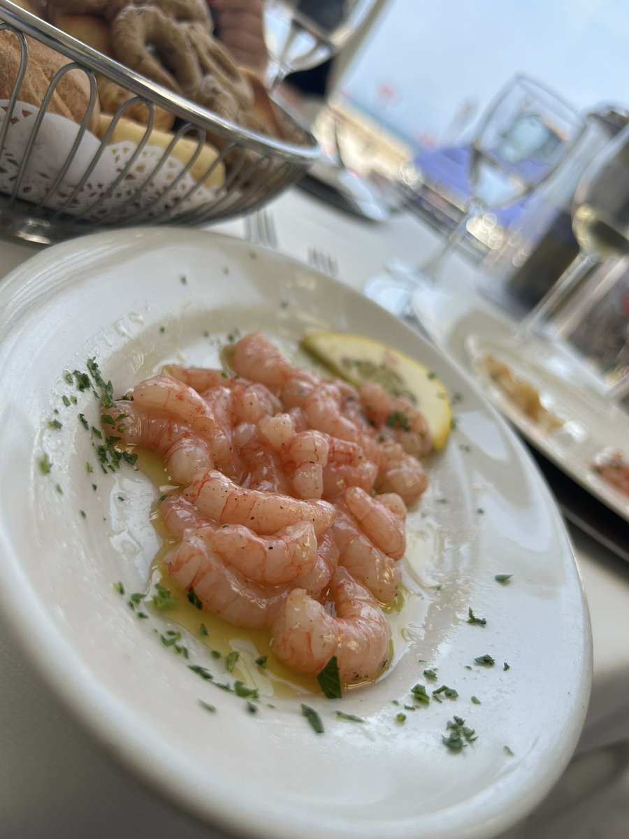 TakaOMAE☀️大前敬祥 tweet media