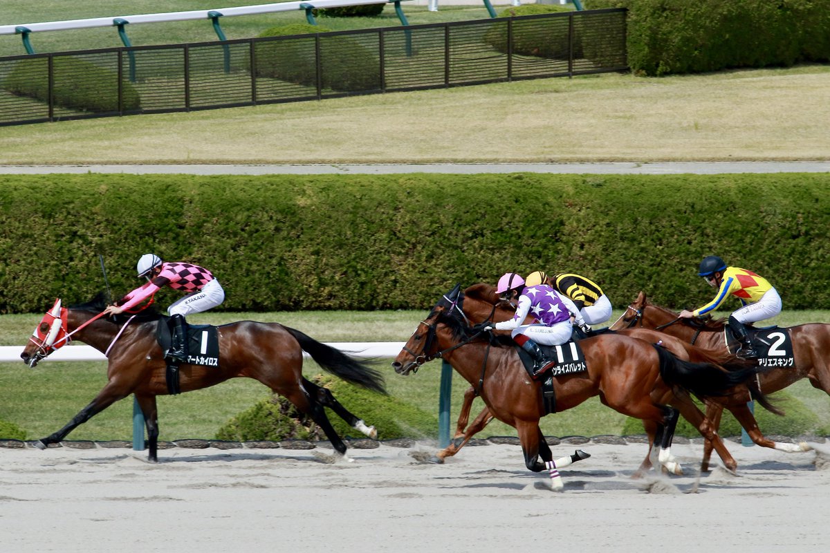 やすてぃ🍥 tweet media