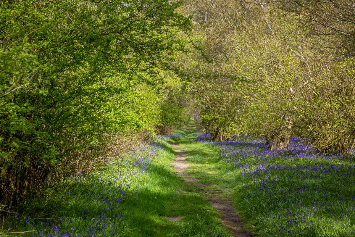 Andrew Locking tweet media