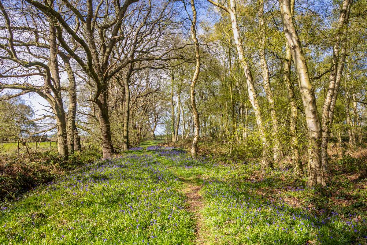 Andrew Locking tweet media