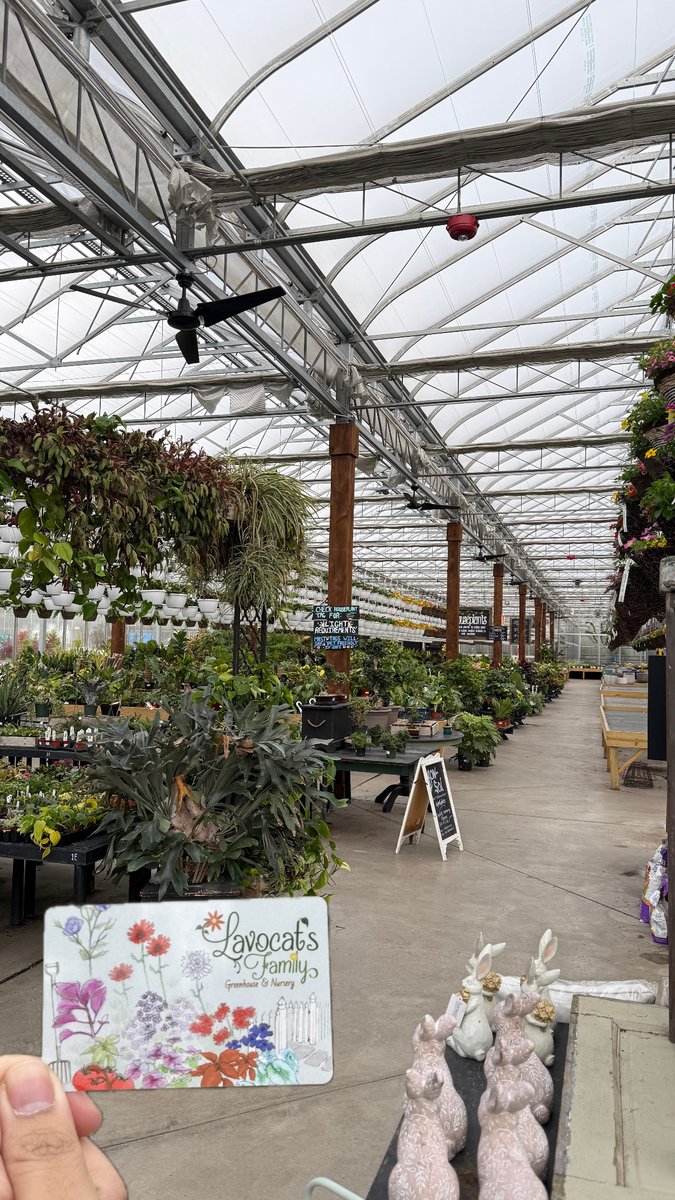 🚨ATTENTION!🚨 We are sick of April showers, dreaming of May flowers! We are giving one lucky winner a $50 gift card to Lavocat's Family Greenhouse &amp; Nursery 🌸🌷🪻

To enter, just RT &amp; make sure you are following us! Must live/work in WNY.      

Winner announced 4/19/26 - good