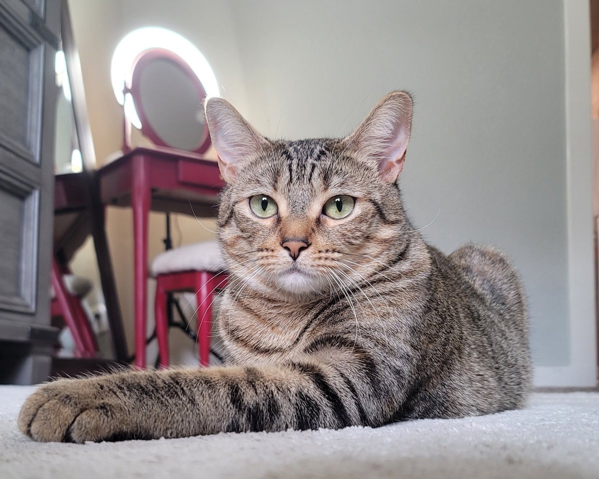 J.R. Montarbo tweet media