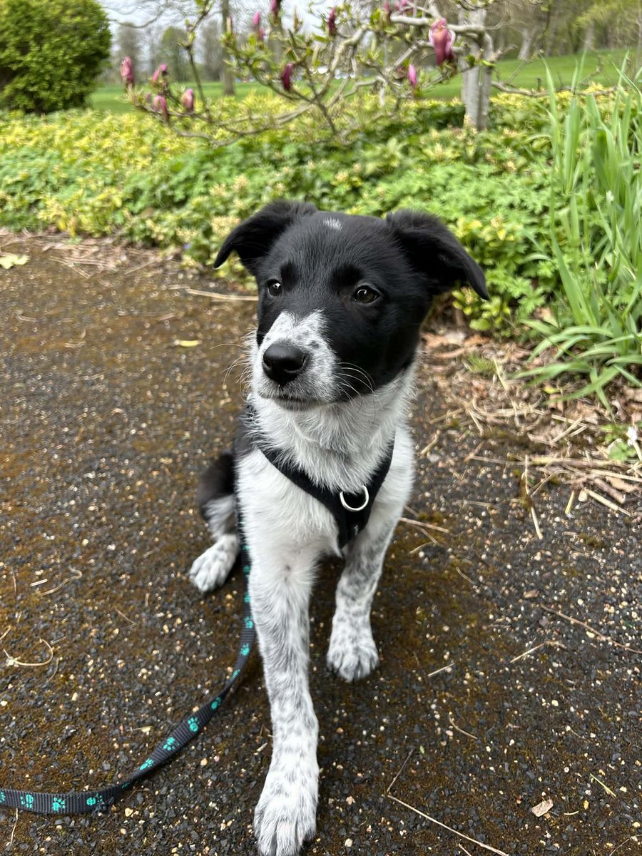 Bored 🍃🦊 tweet media