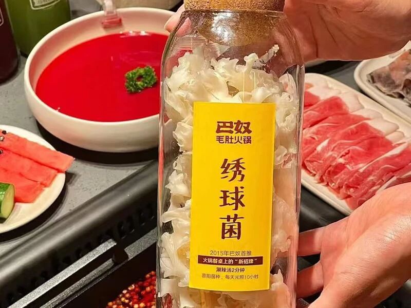 HereIsNanjing's tweet image. 🍄 65% market share! How did a rare high-altitude mushroom become a 200M RMB industry in Nanjing? 🚀 Through AI-powered smart farming, Gaochun is now the world's leading hub for "Cauliflower Mushrooms." The future of #AgriTech is here! 🌿 #Nanjing #Superfood #Innovation