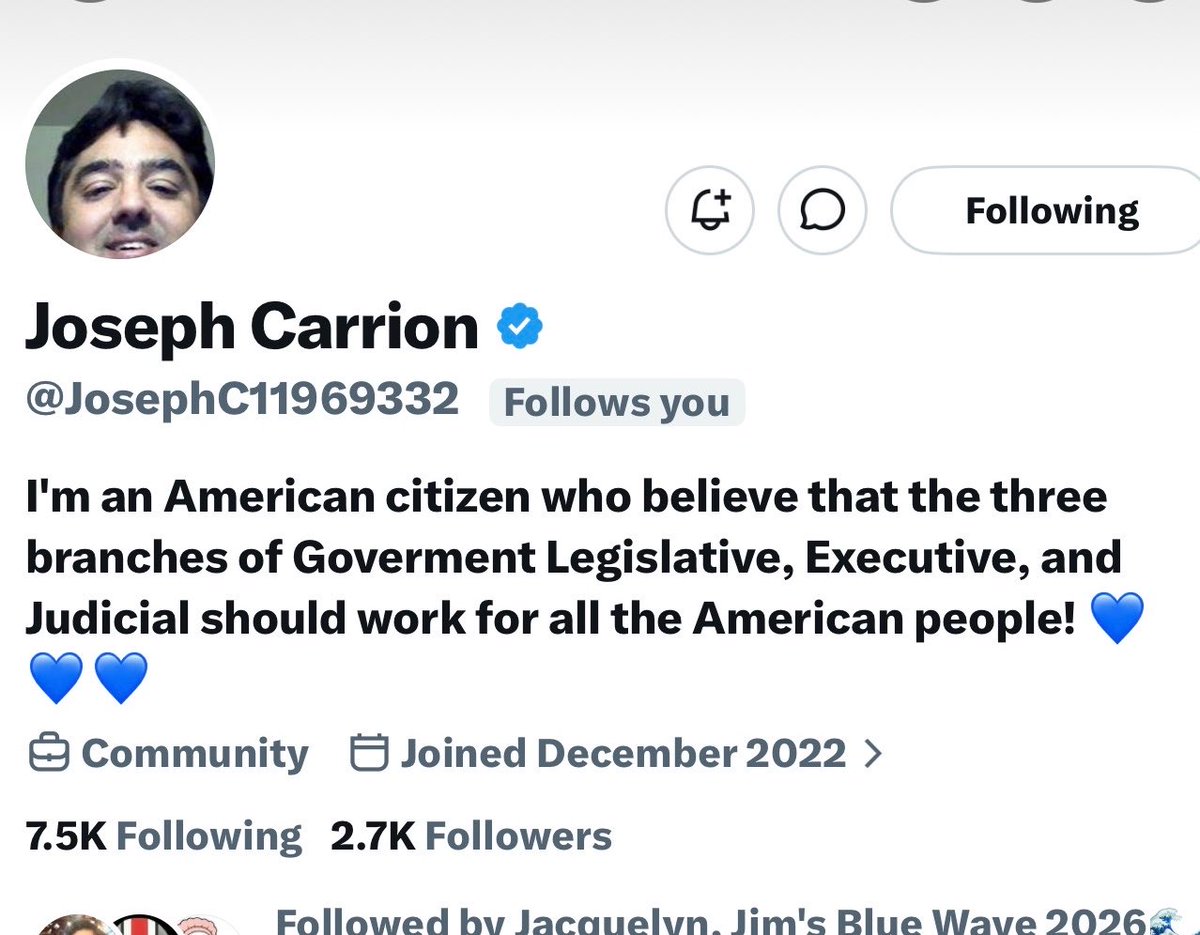 Liberal Cofe Cat tweet media