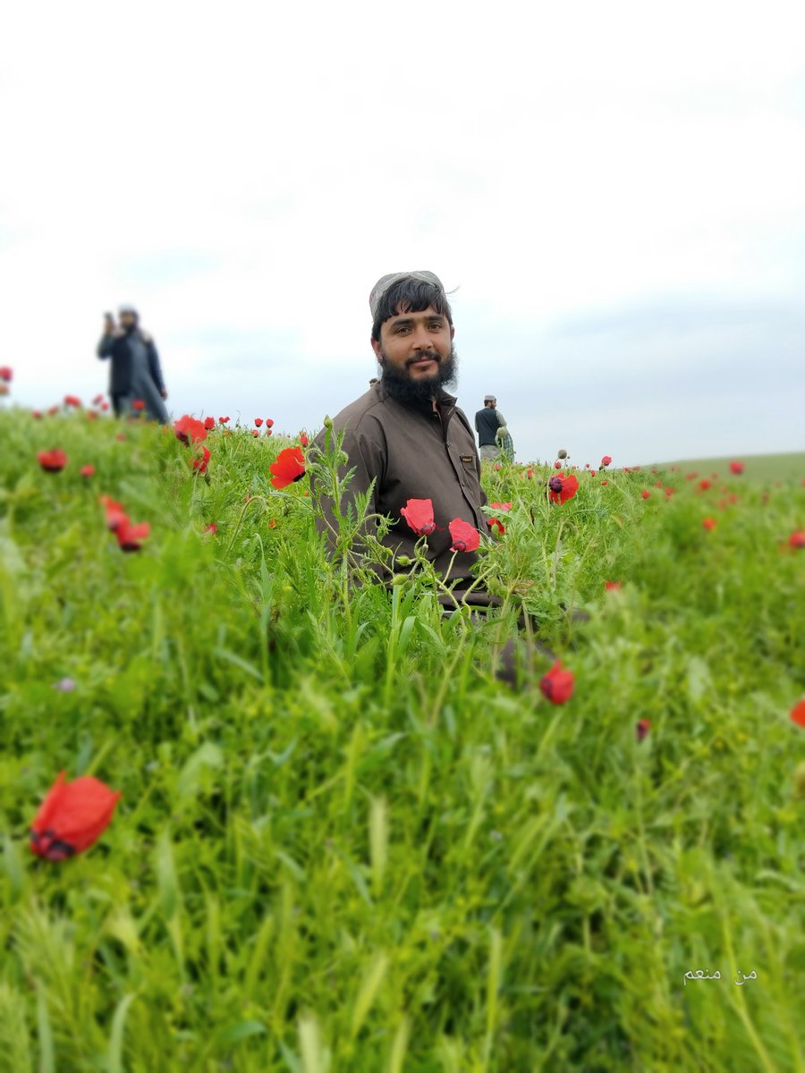 منعم طالب tweet media