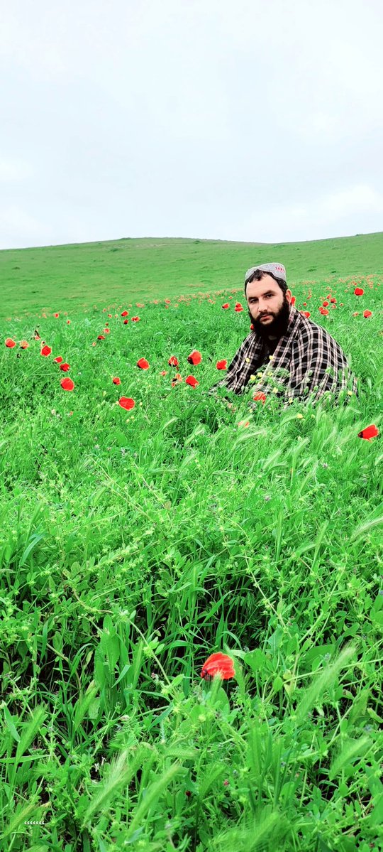 منعم طالب tweet media