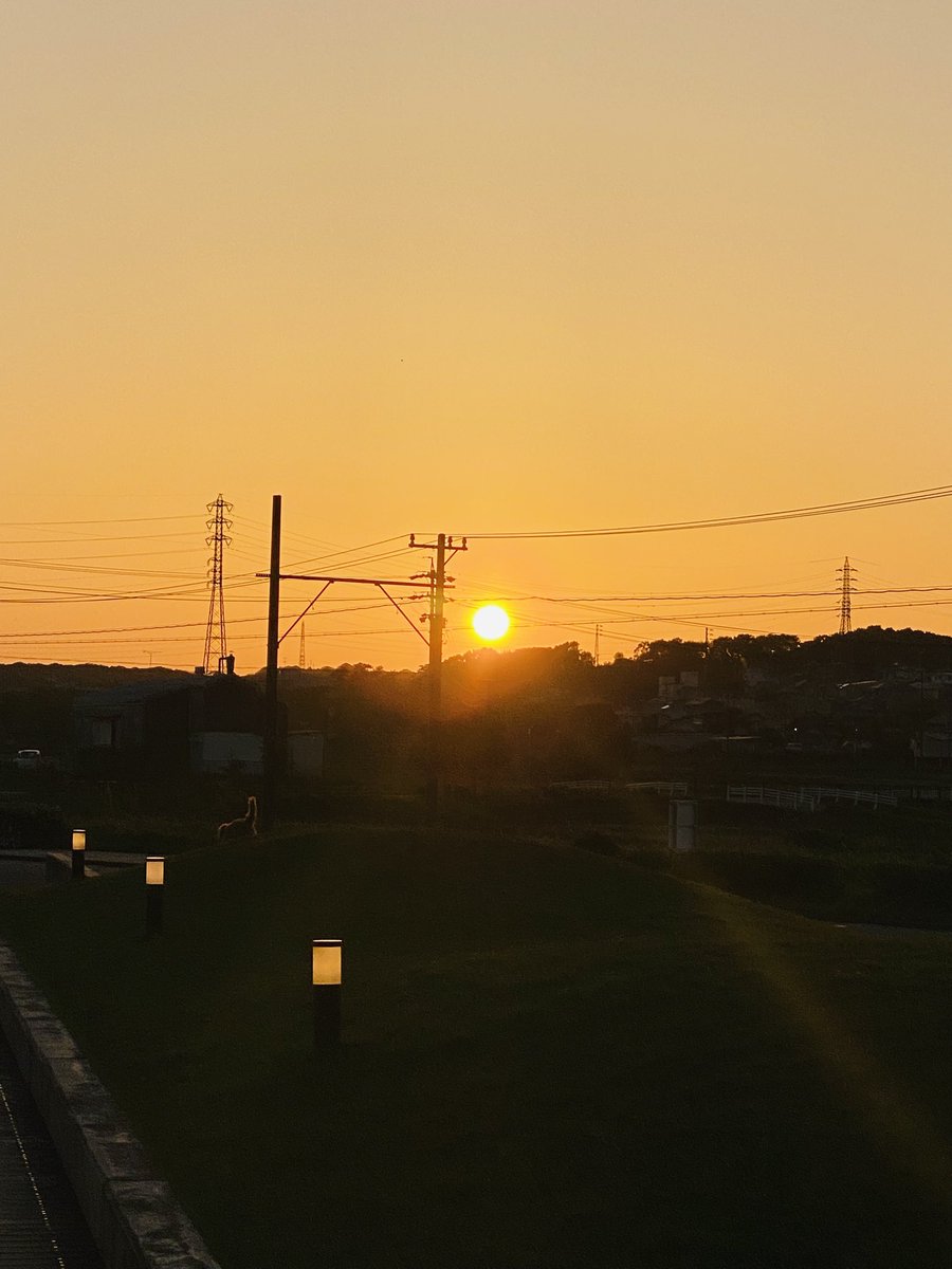 琴岡 悦子 tweet media