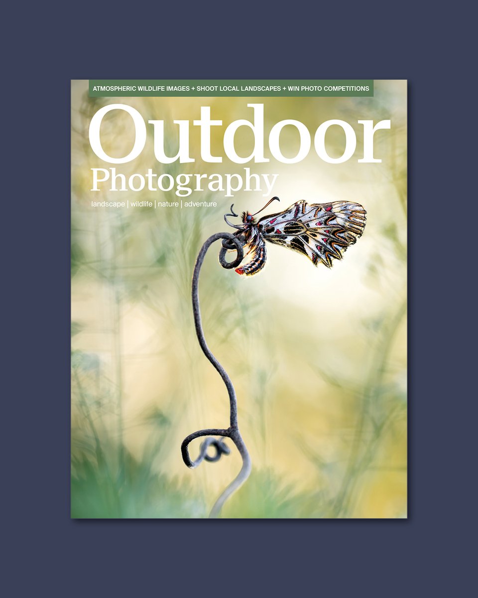 Outdoor Photography tweet media