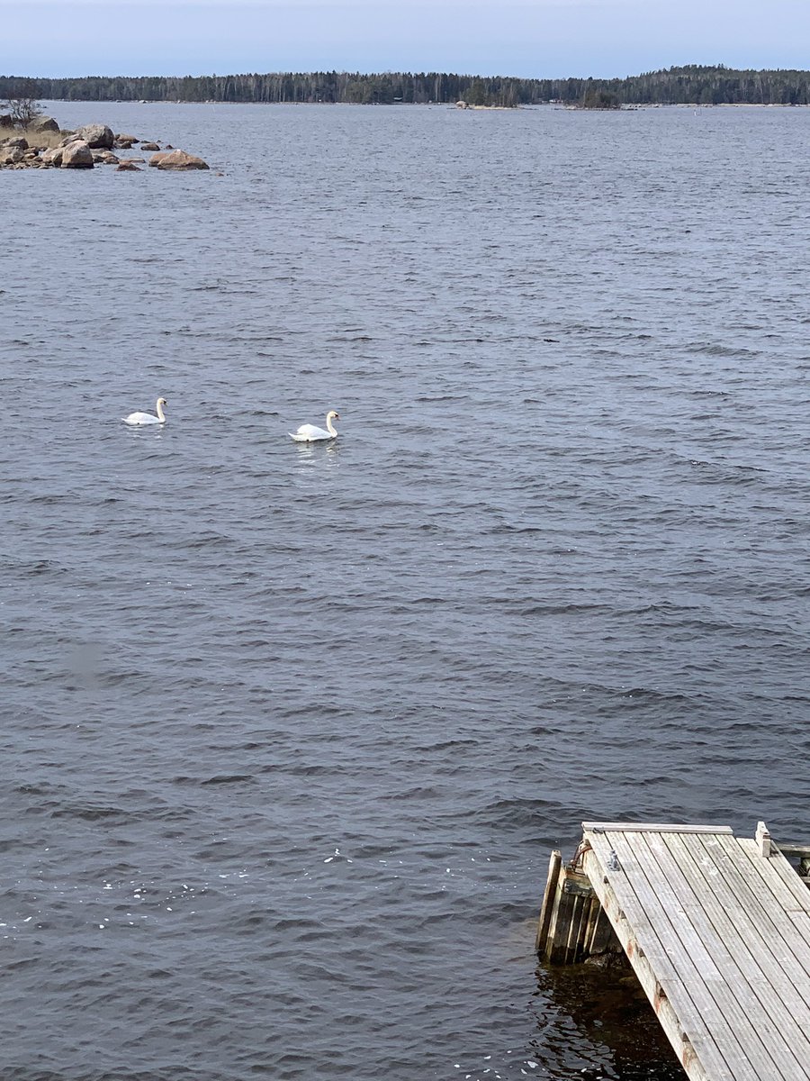 Vastaanottokomitea #itäinensuomenlahti kevään ensimmäinen saarikeikka veneellä.