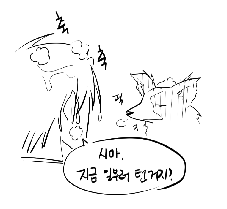 algh_ww's tweet photo. 시마콜리 : 주인을 놀림 https://t.co/avKYuKKMUC