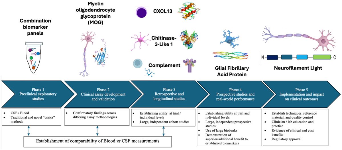 IJMSCtweets's tweet image. MSJ: "study of blood #biomarkers is already helping to unravel complex pathophysiology of #MS &amp;amp; to identify candidate markers for diagnosis, prediction &amp;amp; prognosis [but] path to clinical implementation is arduous" doi.org/10.1177/135245…
@ETallantyre @ApapMangion @CharlotteTeuni1