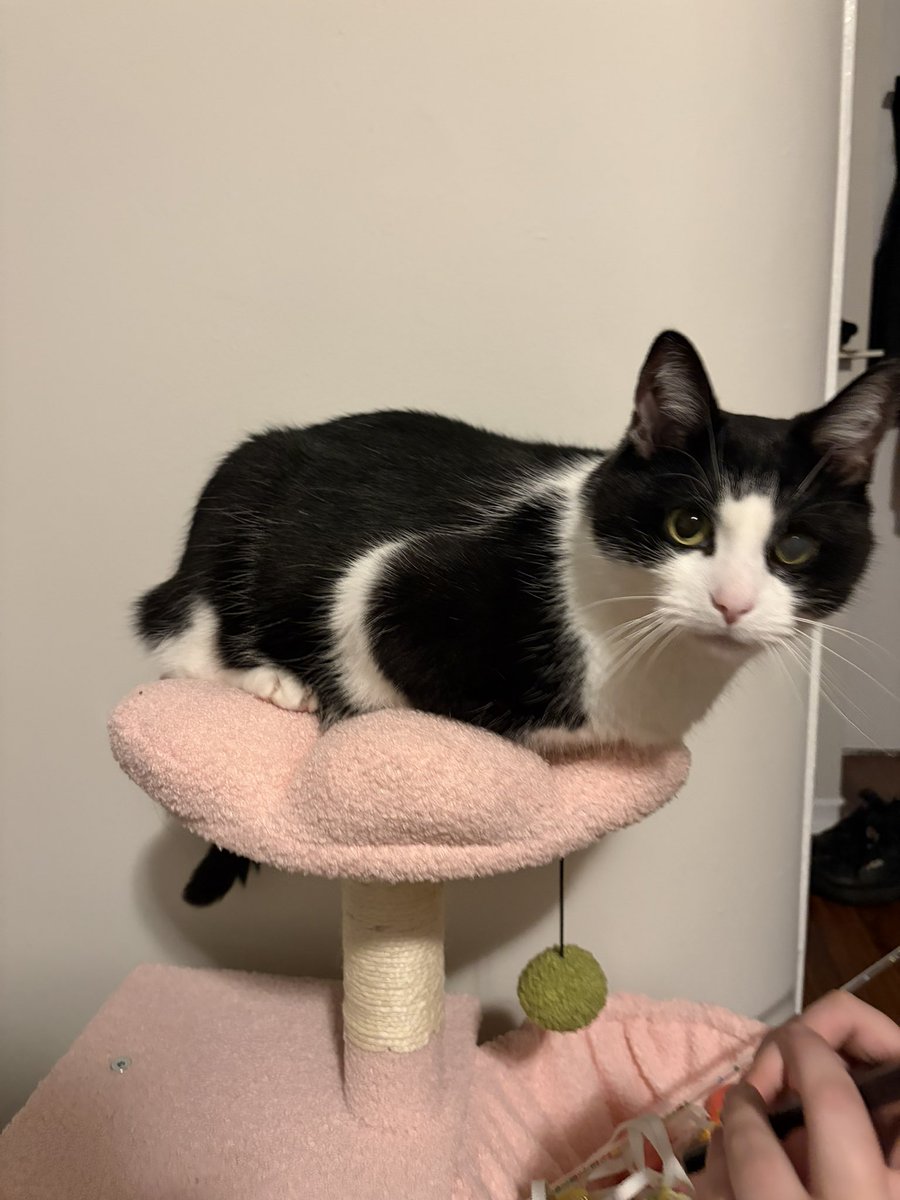 sydnee 🍓 tweet media