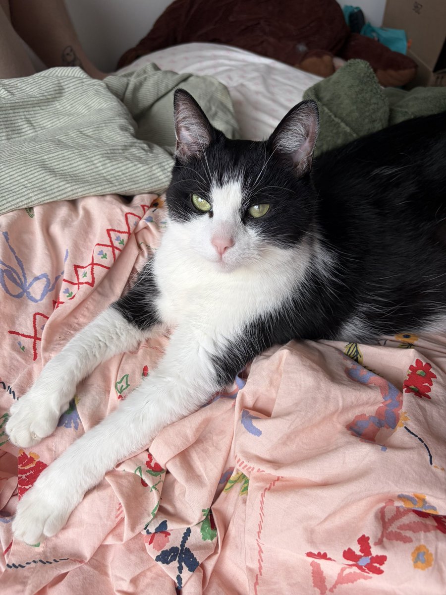 sydnee 🍓 tweet media