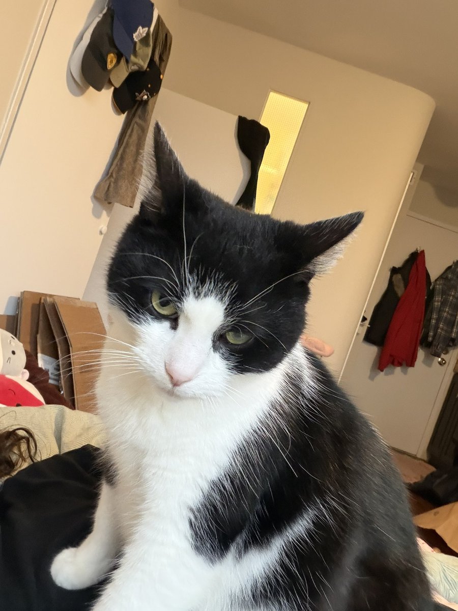 sydnee 🍓 tweet media