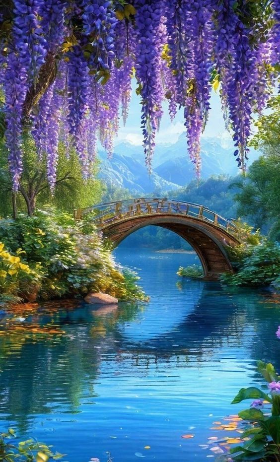 AnamShrni's tweet photo. #PurePeace #DreamyVide #NatureMagic https://t.co/fbWtH0MGqo