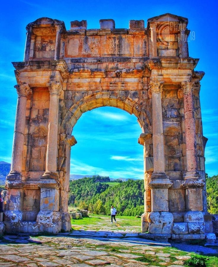 Algeria Gate -English tweet media