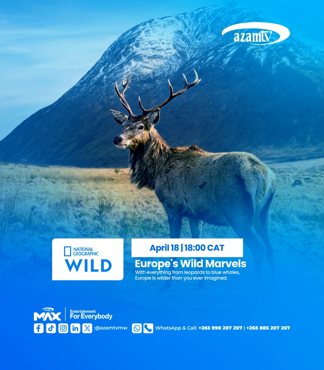 Azamtv_MW's tweet image. 🐾 Saturday nights just got WILD! 🔥

Dive into Europe’s Wild Marvels 🌍
📍 Nat Geo WILD (Ch. 184)
🕕 18:00 CAT

Breathtaking. Untamed. Unmissable. 👀
#AzamTVMalawi #NatGeoWILD #SuperSaturday
