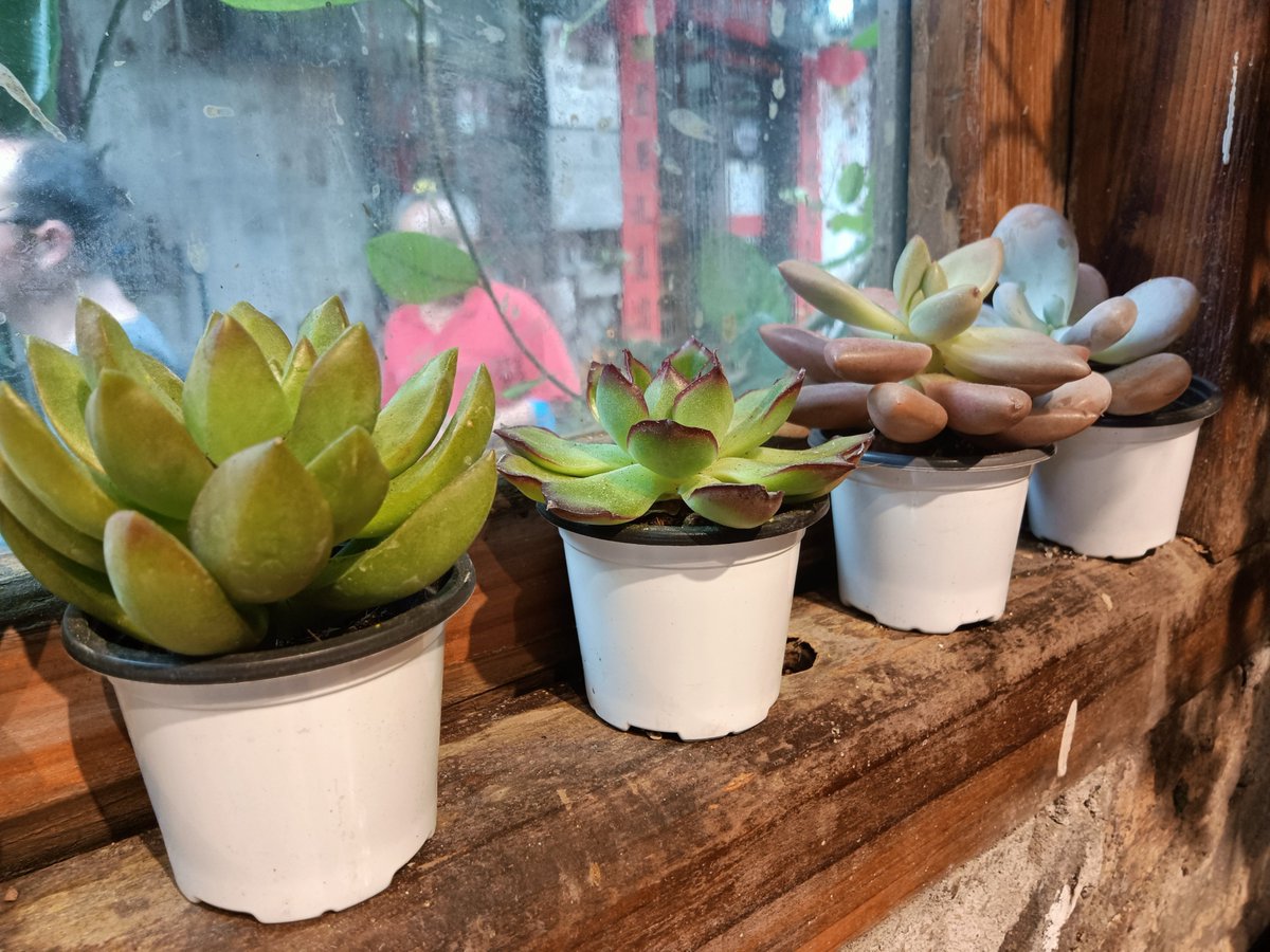 Rabby b. tweet media