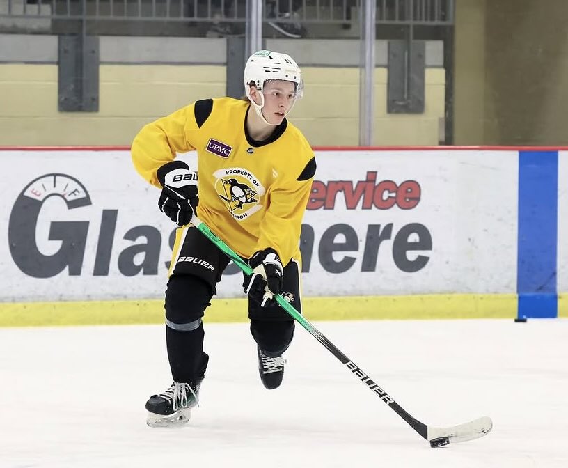 PenguinsSystem tweet media