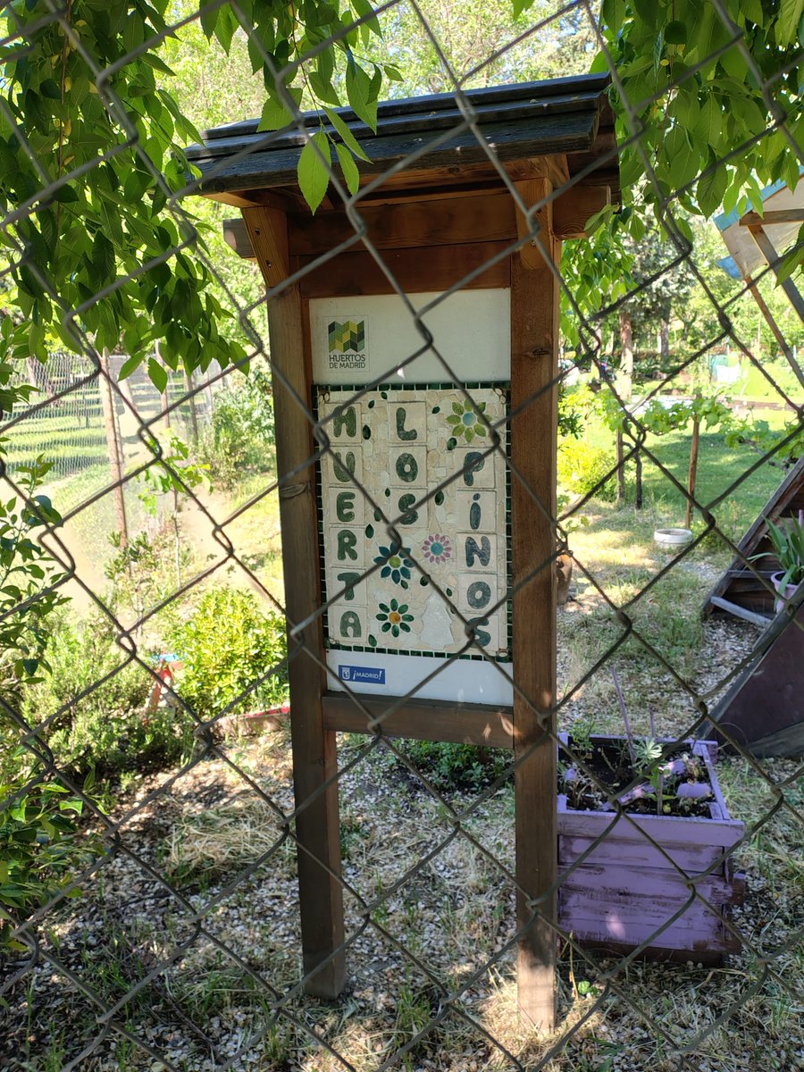 Vivero Afandice tweet media