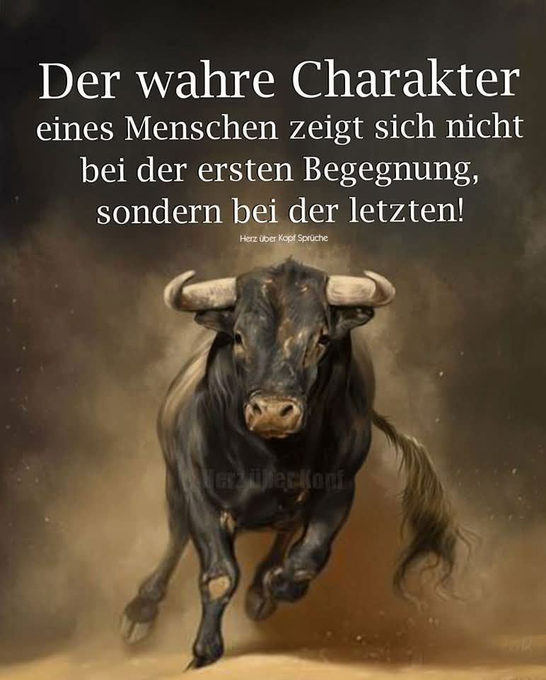 1life1soul77's tweet photo. Das stimmt 🙏 https://t.co/Vi2epr3O1t