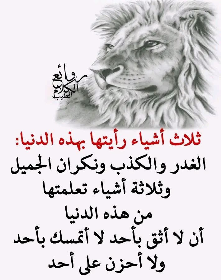 عقيًل بن محمد العقيًل( أبو أنس) tweet media