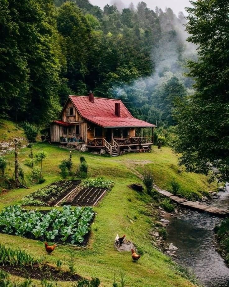 Mountain Cabins tweet media