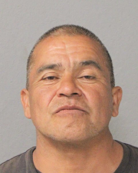 Long Island tweet media