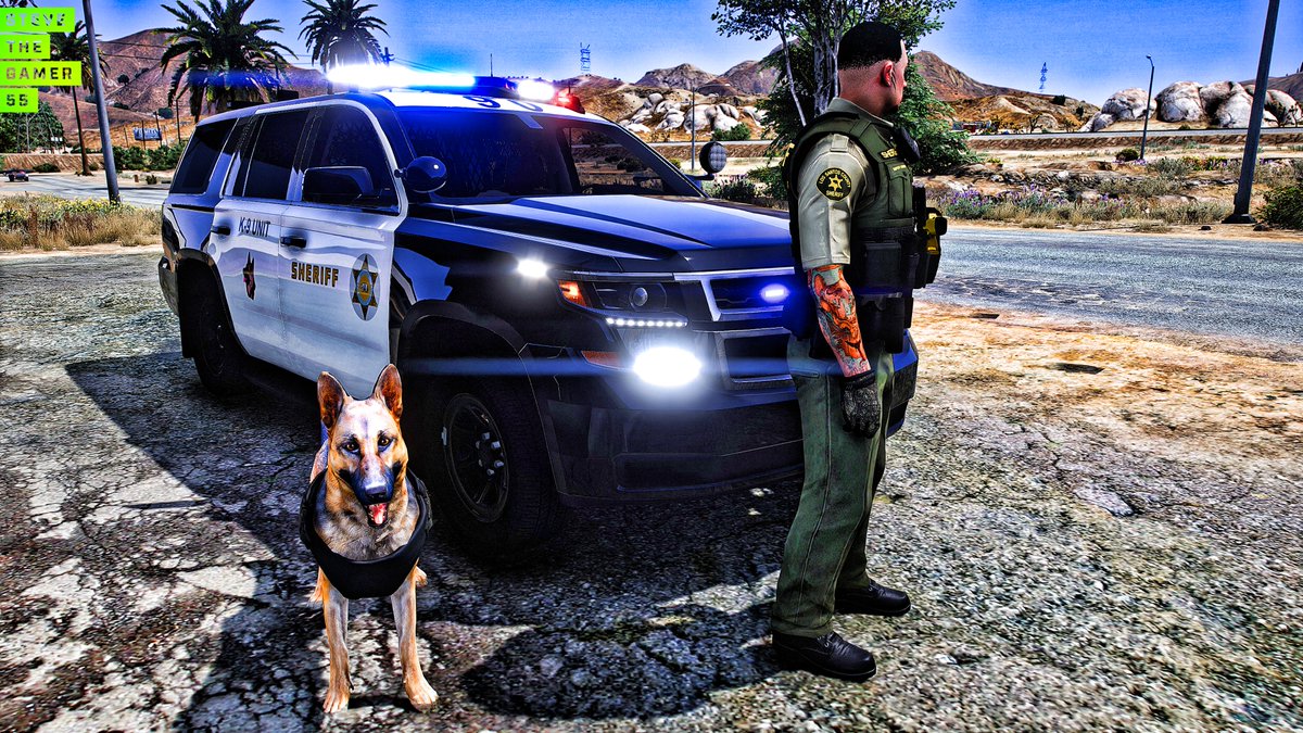 SteveTheGamer55 tweet media