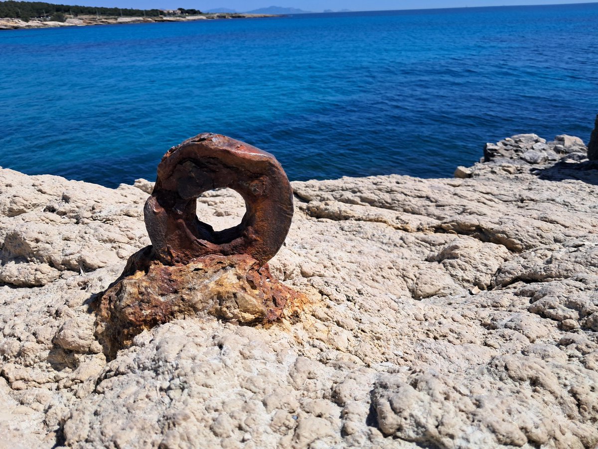 Le Gourmandin❤💙 tweet media