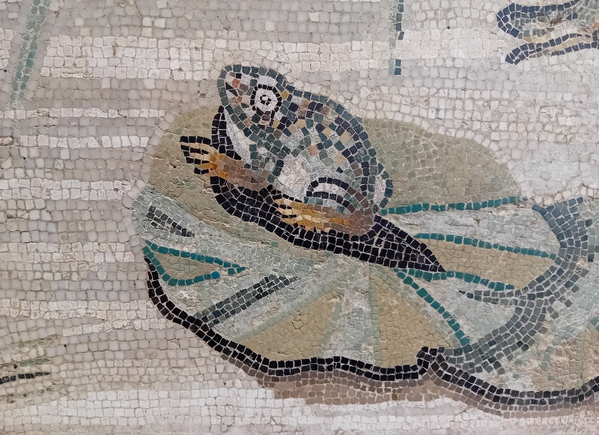 Dr Jo Ball tweet media