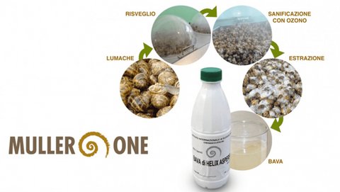 iwsfutcmd tweet media