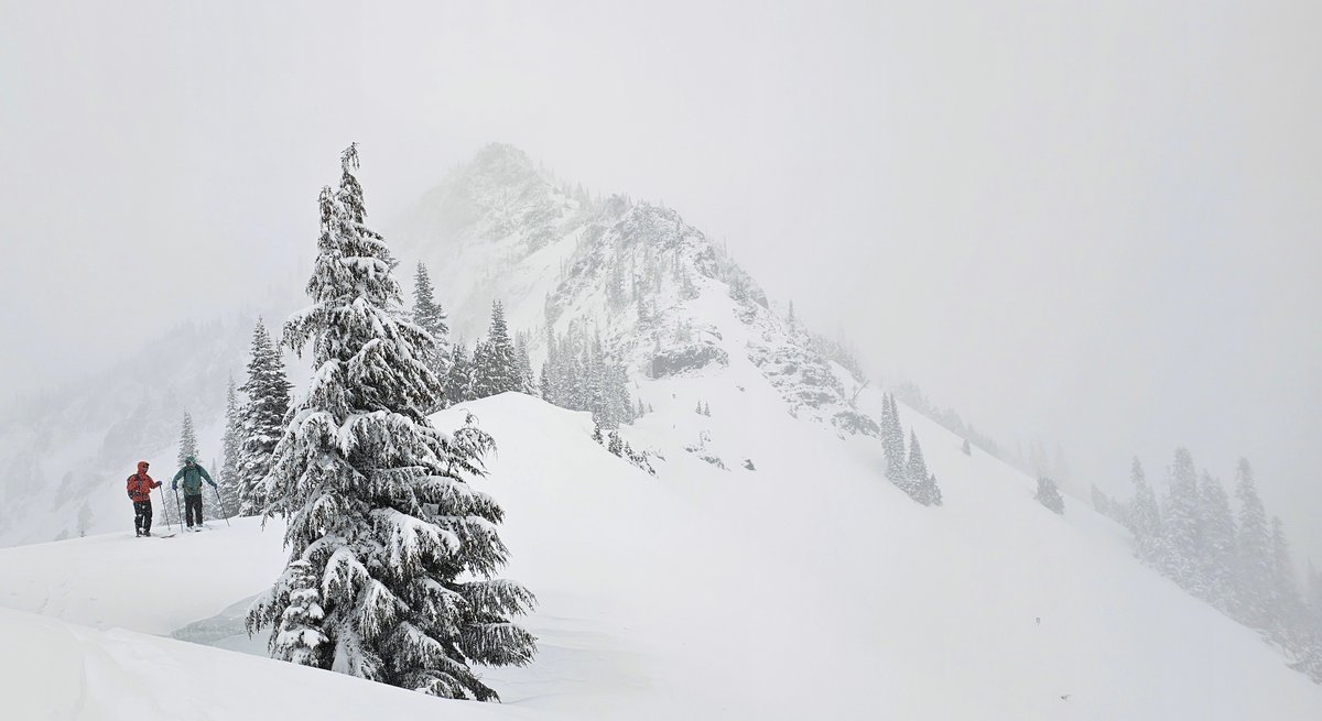 Snoqualmie Pass tweet media