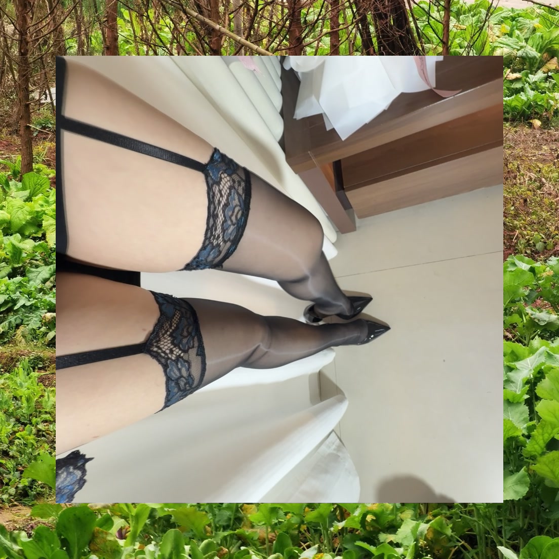 Fred Torres tweet media