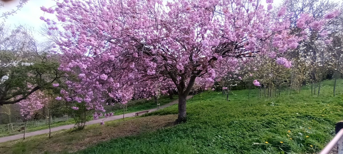 Now is the time of monsters tweet media