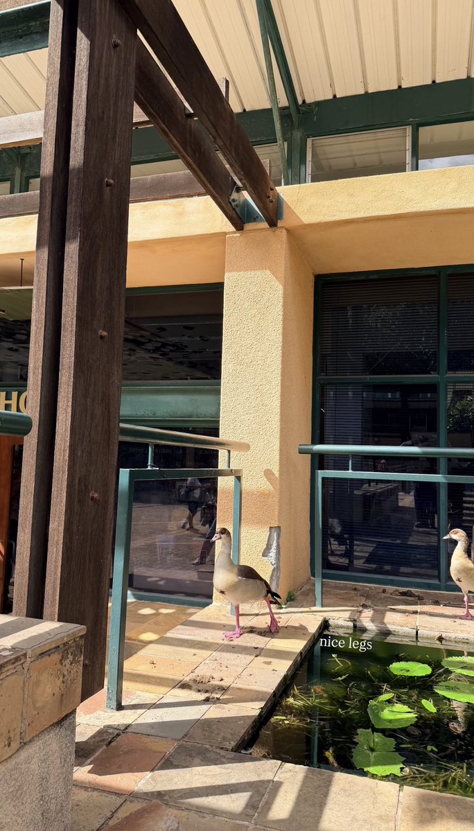 MSS Trending tweet media