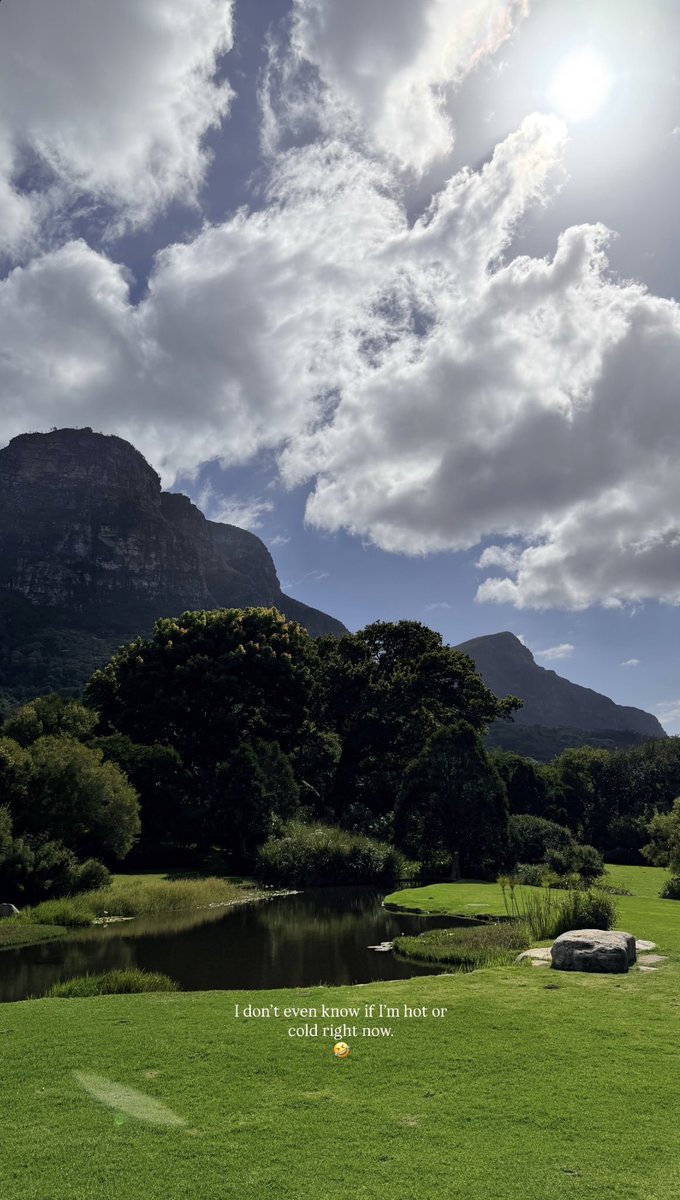 MSS Trending tweet media